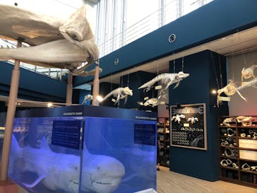 マリンワールド海の中道に投稿された画像（2022/9/5）