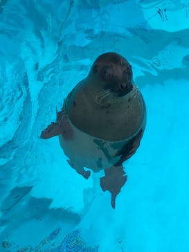 マリンワールド海の中道に投稿された画像（2022/9/5）