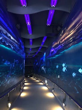 マリンワールド海の中道に投稿された画像（2022/9/5）