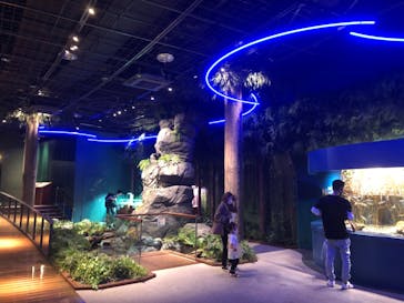 マリンワールド海の中道に投稿された画像（2022/9/5）