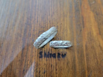 師楽に投稿された画像（2022/9/5）