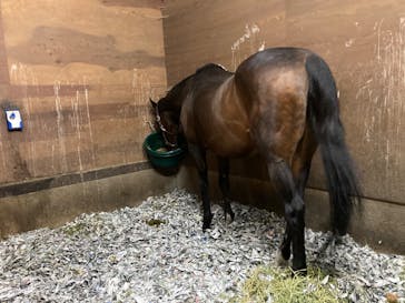 ノーザンホースパークに投稿された画像（2022/9/5）