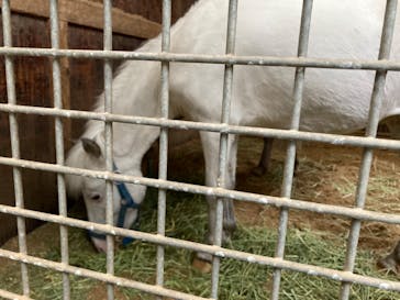 ノーザンホースパークに投稿された画像（2022/9/5）