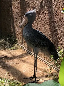 神戸どうぶつ王国に投稿された画像（2022/9/5）