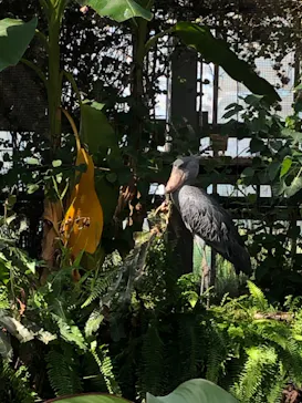 神戸どうぶつ王国に投稿された画像（2022/9/5）