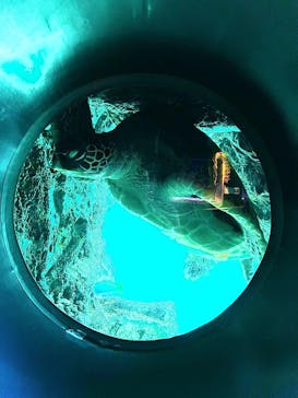 箱根園水族館に投稿された画像（2022/9/5）