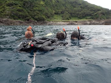 屋久島ガイドクラブに投稿された画像（2022/9/5）