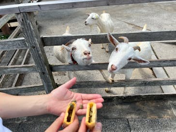 アロハガーデンたてやまに投稿された画像（2022/9/5）