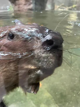 神戸どうぶつ王国に投稿された画像（2022/9/5）