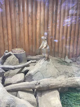 神戸どうぶつ王国に投稿された画像（2022/9/5）