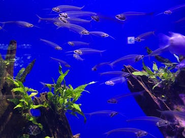 サンシャイン水族館に投稿された画像（2022/9/5）