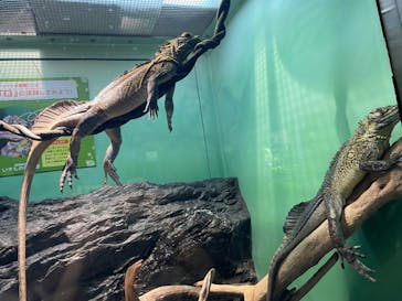 サンシャイン水族館に投稿された画像（2022/9/5）