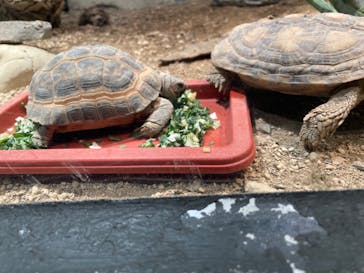 サンシャイン水族館に投稿された画像（2022/9/5）