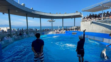 大分マリーンパレス水族館 「うみたまご」に投稿された画像（2022/9/5）