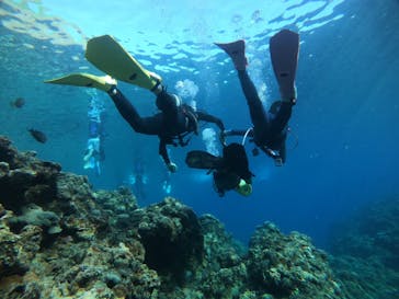 ダイビングショップ　ハイビスカスに投稿された画像（2022/9/5）