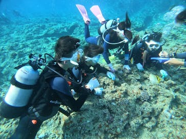 ダイビングショップ　ハイビスカスに投稿された画像（2022/9/5）