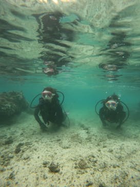 沖縄マリンサービス碧に投稿された画像（2022/9/6）