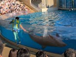 新江ノ島水族館に投稿された画像（2022/9/6）
