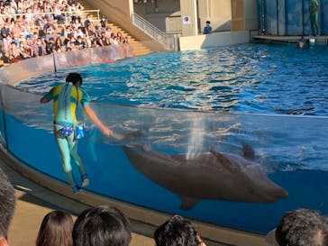 新江ノ島水族館に投稿された画像（2022/9/6）