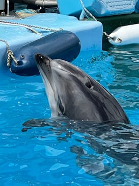 名古屋港水族館に投稿された画像（2022/9/6）