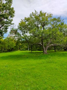 大阪城公園 西の丸庭園に投稿された画像（2022/9/6）