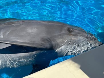 南知多ビーチランド＆南知多おもちゃ王国に投稿された画像（2022/9/6）