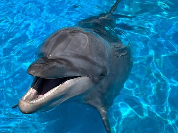 南知多ビーチランド＆南知多おもちゃ王国に投稿された画像（2022/9/6）