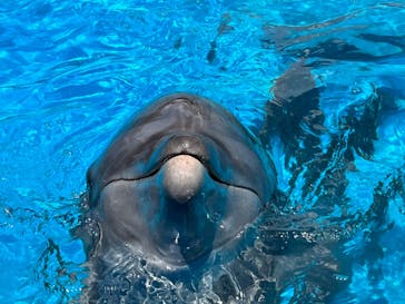 南知多ビーチランド＆南知多おもちゃ王国に投稿された画像（2022/9/6）