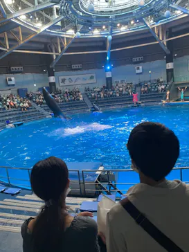 マクセル アクアパーク品川に投稿された画像（2022/9/6）