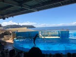 新江ノ島水族館に投稿された画像（2022/9/6）