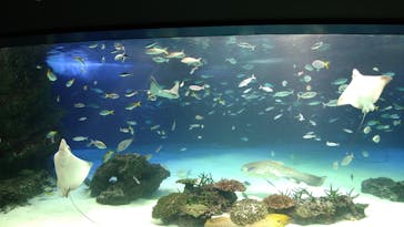サンシャイン水族館に投稿された画像（2022/9/6）