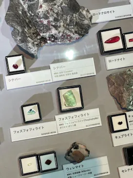 特別展「宝石　地球がうみだすキセキ」（名古屋市科学館　理工館地下２階イベントホール）に投稿された画像（2022/9/6）