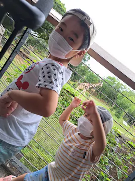 天王寺動物園に投稿された画像（2022/9/6）