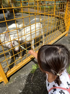 伊豆アニマルキングダムに投稿された画像（2022/9/6）