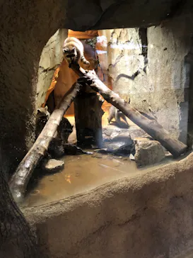 神戸どうぶつ王国に投稿された画像（2022/9/6）