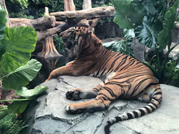 神戸どうぶつ王国に投稿された画像（2022/9/6）