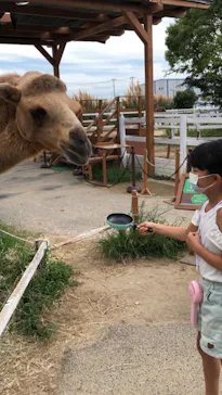神戸どうぶつ王国に投稿された画像（2022/9/6）