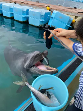 横浜・八景島シーパラダイスに投稿された画像（2022/9/6）