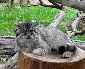 那須どうぶつ王国に投稿された画像（2022/9/6）