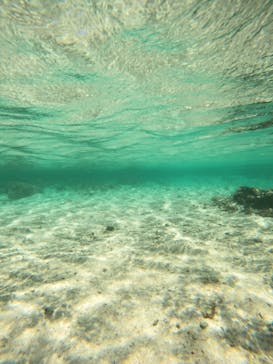 沖縄マリンサービス碧に投稿された画像（2022/9/7）