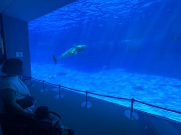 名古屋港水族館に投稿された画像（2022/9/7）