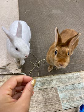 東京あそびマーレに投稿された画像（2022/9/7）