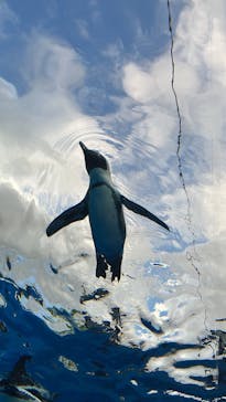 サンシャイン水族館に投稿された画像（2022/9/7）
