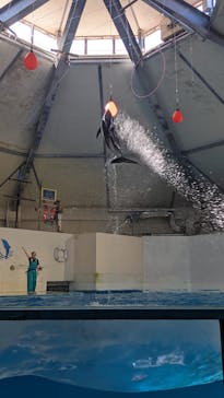 登別マリンパークニクスに投稿された画像（2022/9/7）