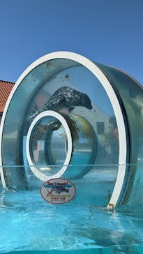 登別マリンパークニクスに投稿された画像（2022/9/7）