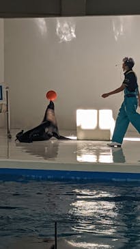 登別マリンパークニクスに投稿された画像（2022/9/7）