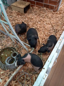 アニタッチみなとみらいに投稿された画像（2022/9/7）