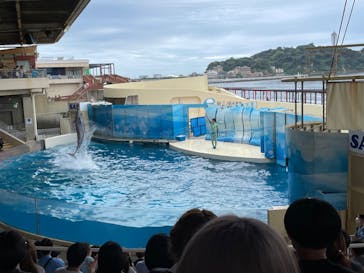 新江ノ島水族館に投稿された画像（2022/9/7）