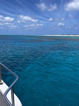 リーファーズに投稿された画像（2022/9/7）