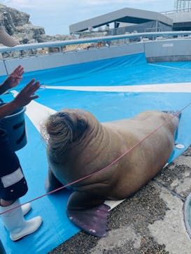 大分マリーンパレス水族館 「うみたまご」に投稿された画像（2022/9/7）